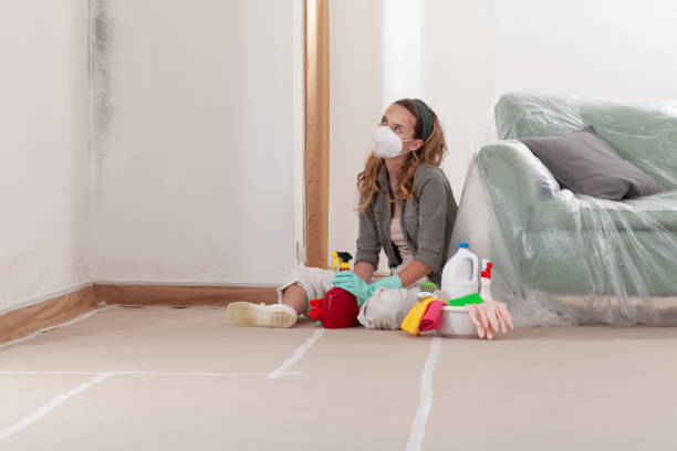 Reliable Bathroom Mold Removal contractor in Brookfield, IL by WQB Mold Removal
